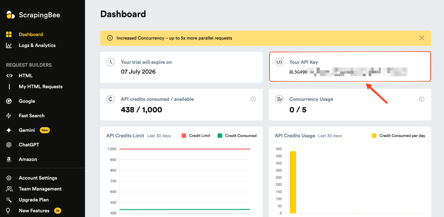 The ScrapingBee dashboard with the API key field highlighted