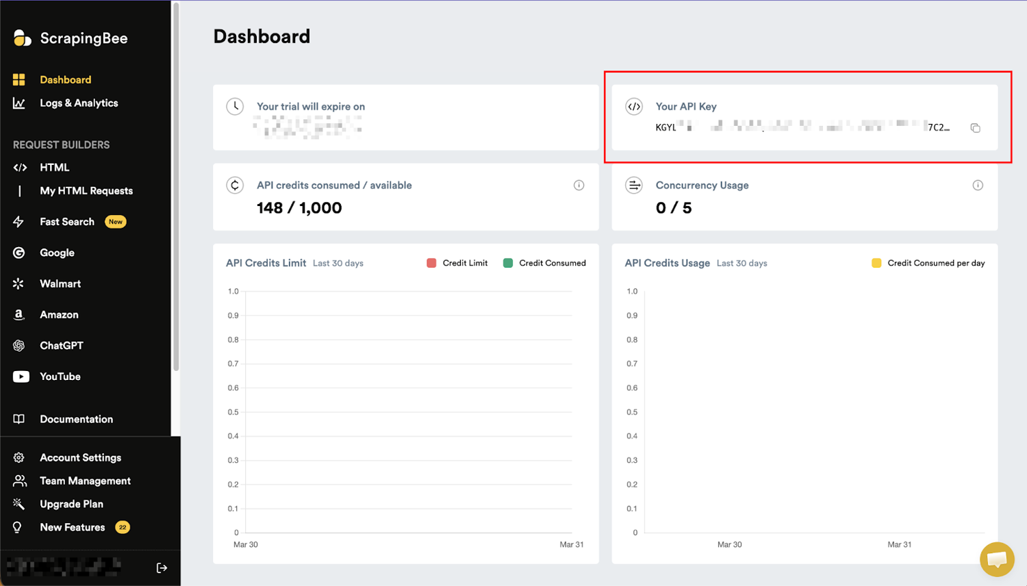 ScrapingBee dashboard showing your API key