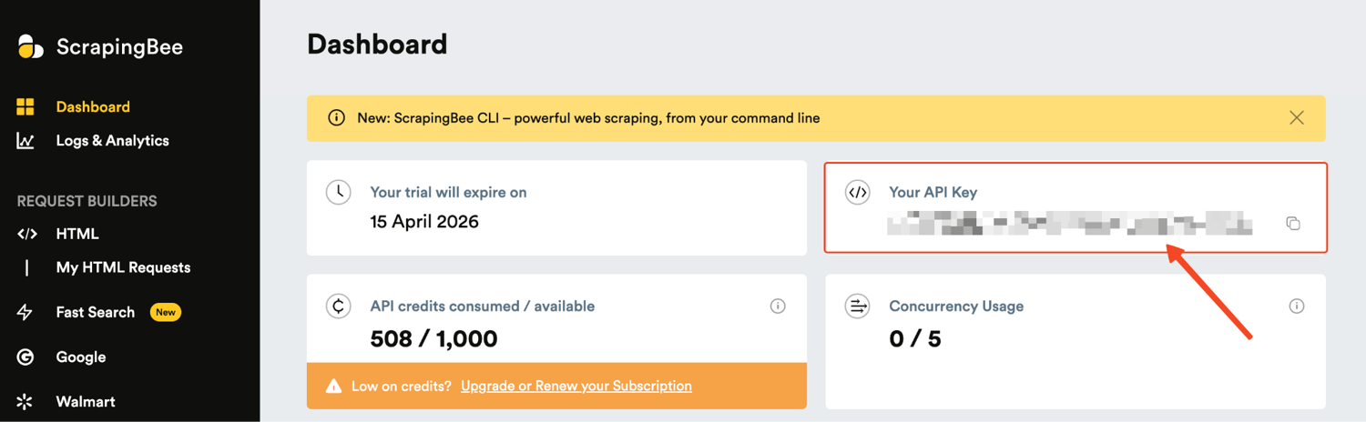ScrapingBee dashboard showing the API key