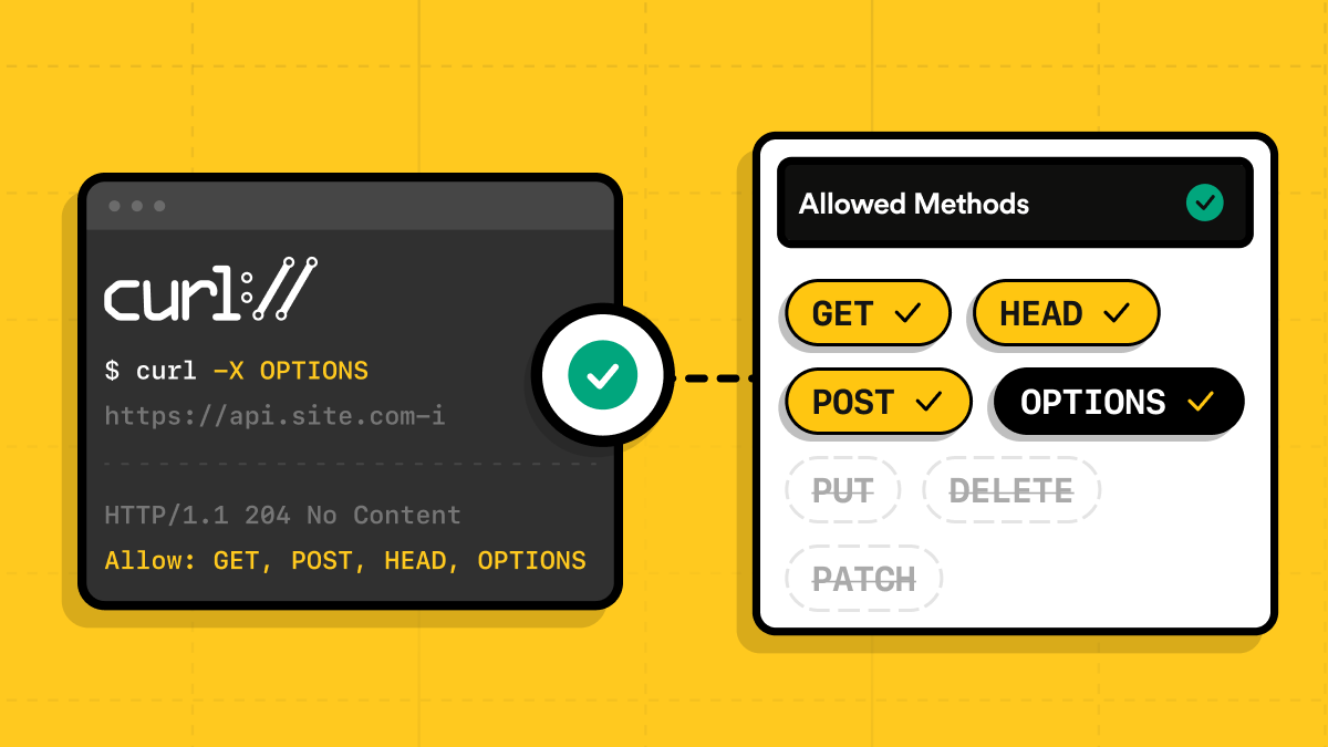 How to send a curl OPTIONS request