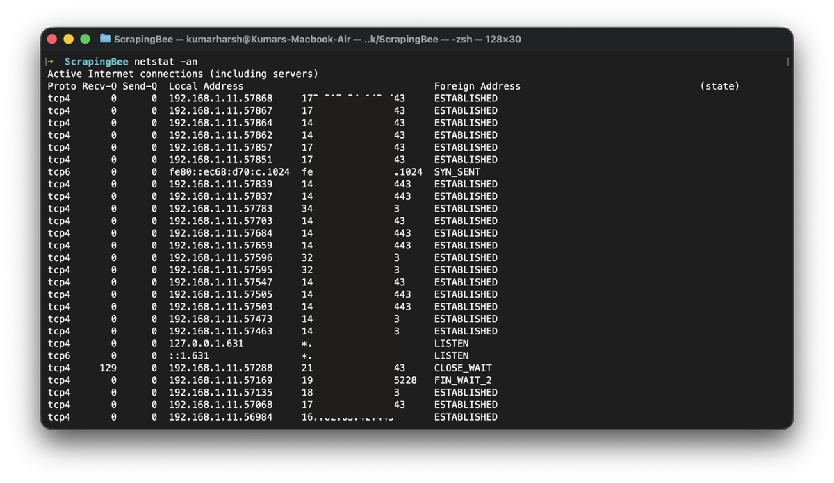 Example netstat output