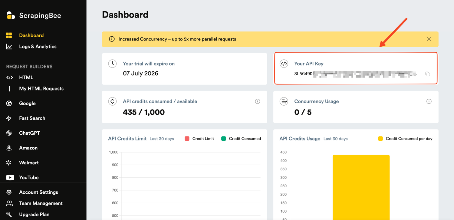 ScrapingBee dashboard showing the API key