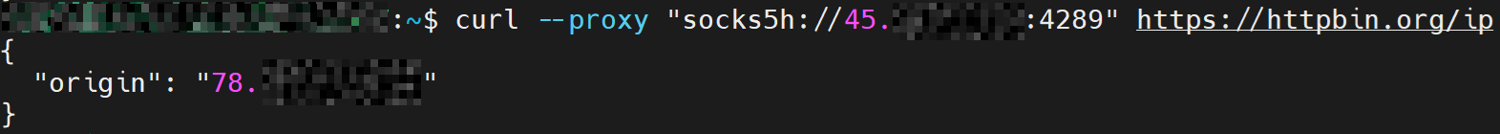 curl output showing the proxy's egress IP returned by httpbin